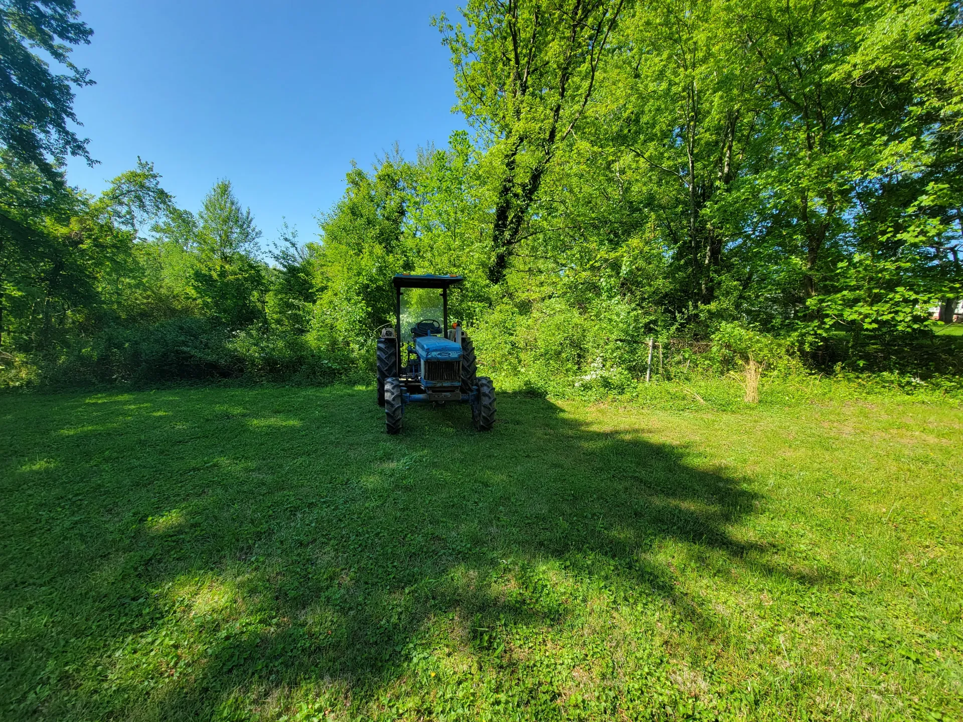 Tractor in clearing