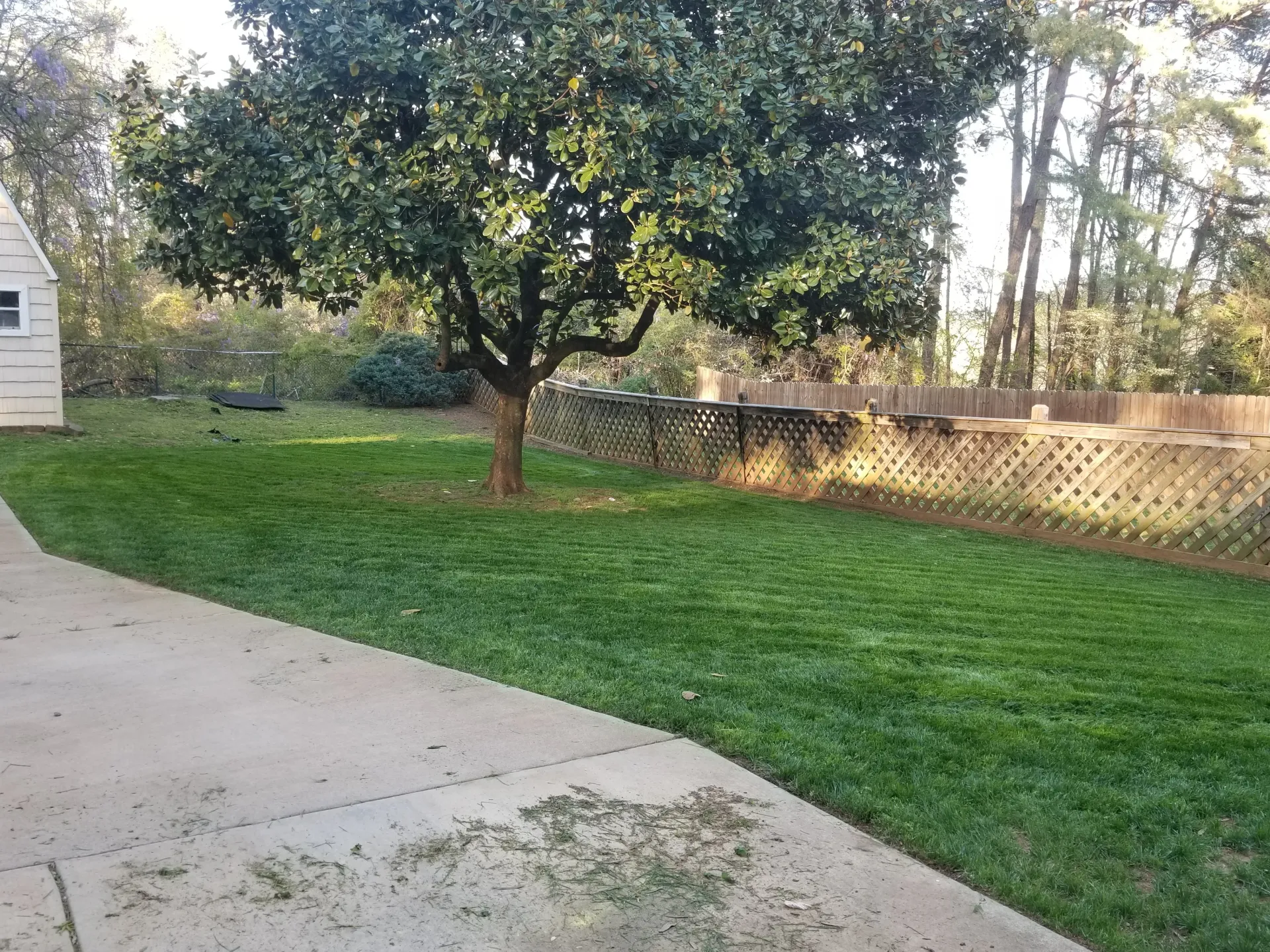 Freshly mowed lawn