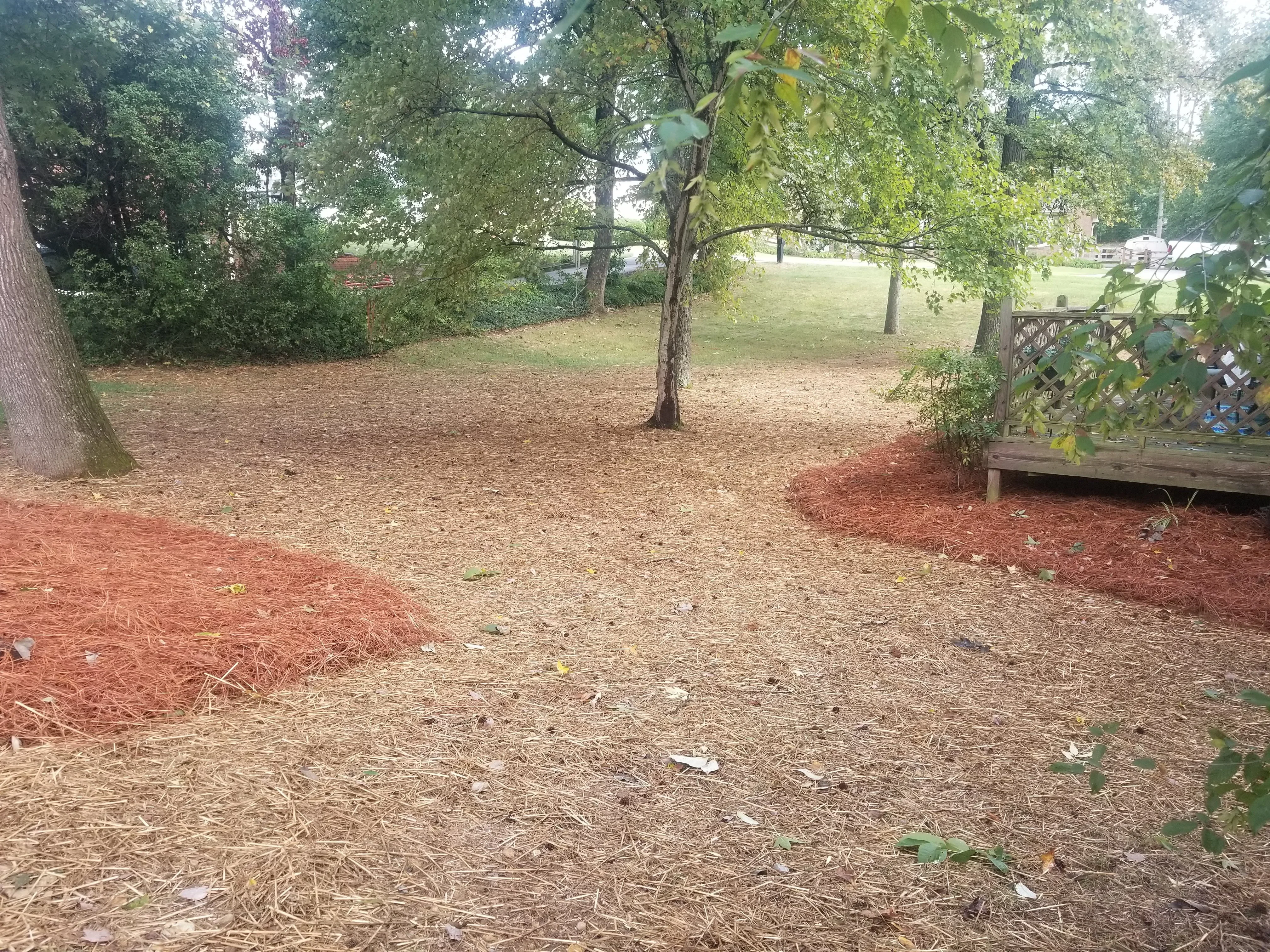 Backyard landscaping